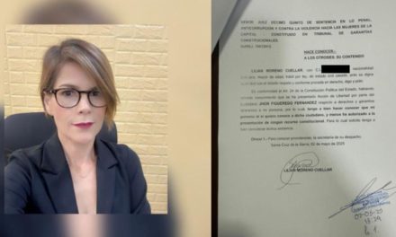 La jueza Lilian Moreno rompe el silencio en contacto con EL DEBER: “Esta acción es totalmente malintencionada, porque yo no la he presentado”