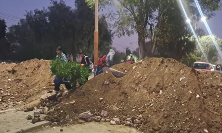 Quinto día de bloqueo por basura en Colcapirhua continúa