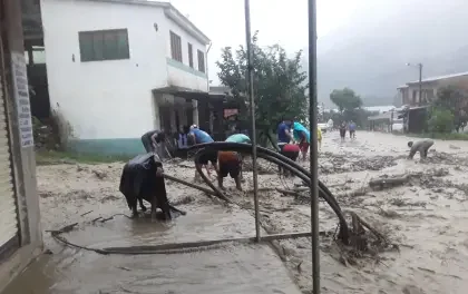 La Paz: Caranavi clama por ayuda tras riada que deja a más de 800 familias damnificadas