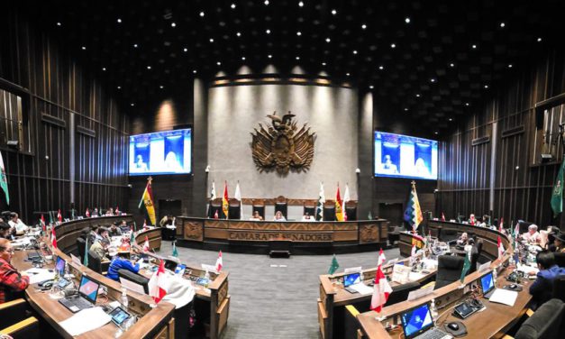 Elecciones 2025: Sin Andrónico presente, el Senado sanciona ley de transmisión del TREP