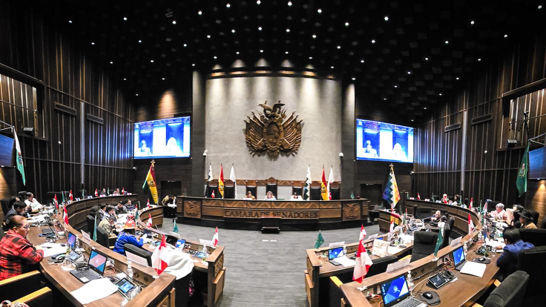 Elecciones 2025: Sin Andrónico presente, el Senado sanciona ley de transmisión del TREP