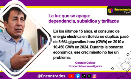 La luz que se apaga: dependencia, subsidios y tarifazos