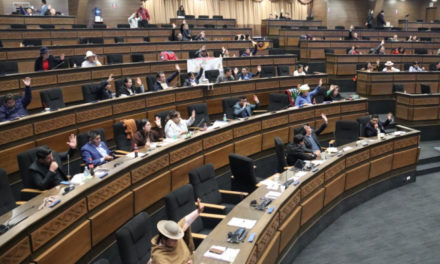 Cámara Baja aprueba dos proyectos de crédito por $us 160 millones y lo remite al Senado