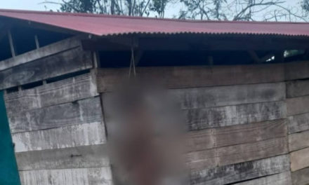 Gobierno confirma la retención de tres personas en el Trópico de Cochabamba tras el linchamiento de dos