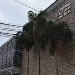 Tribunal Electoral sesiona en Santa Cruz por presiones políticas