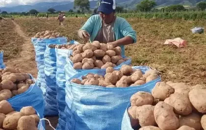 Prevén más frentes fríos y los productores deben tomar previsiones, alerta experto