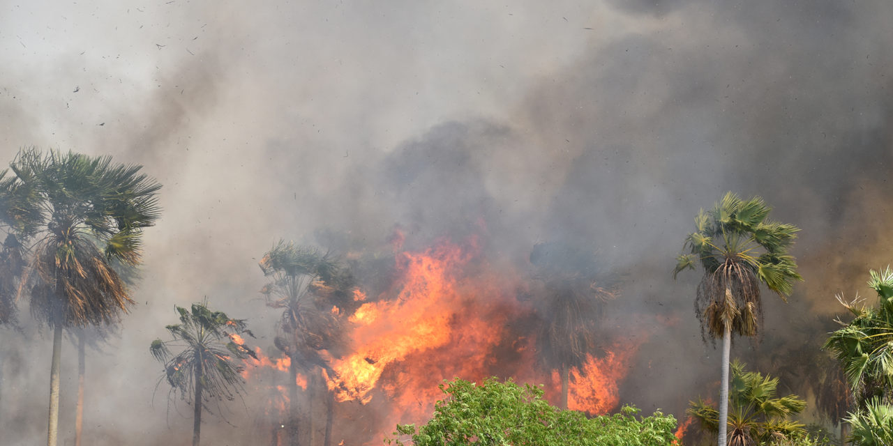 Inicia el periodo de incendios: reportan 136 focos de calor