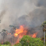 Inicia el periodo de incendios: reportan 136 focos de calor