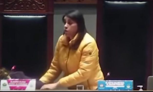 Senadora se desmayó en plena sesión de la Cámara Alta