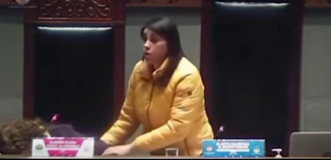 Senadora se desmayó en plena sesión de la Cámara Alta