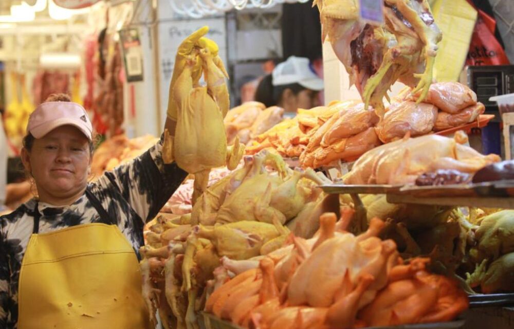 El pollo entero se vende hasta en Bs 90 en La Paz y denuncian escasa oferta estatal