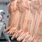 Ministro dice que “se espera un aumento del ingreso de dólares” con la reactivación de la exportación de carne