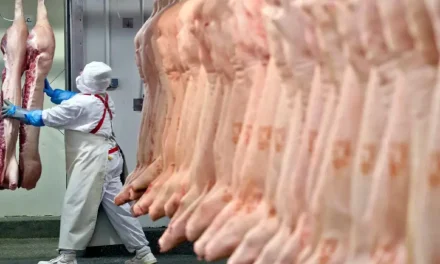 Ministro dice que “se espera un aumento del ingreso de dólares” con la reactivación de la exportación de carne
