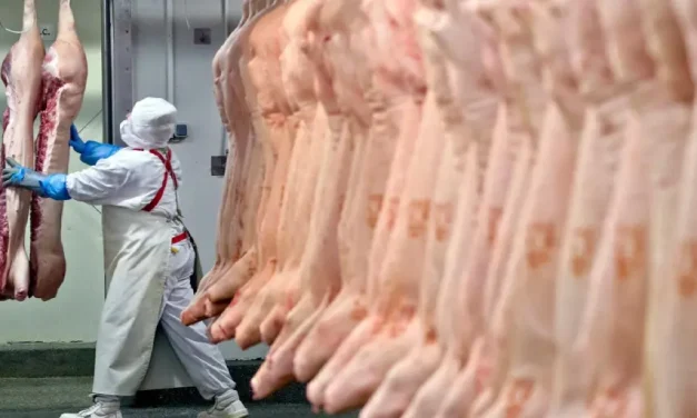 Ministro dice que “se espera un aumento del ingreso de dólares” con la reactivación de la exportación de carne