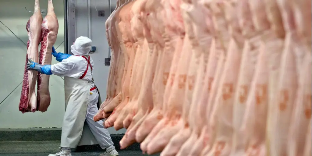 Ministro dice que “se espera un aumento del ingreso de dólares” con la reactivación de la exportación de carne