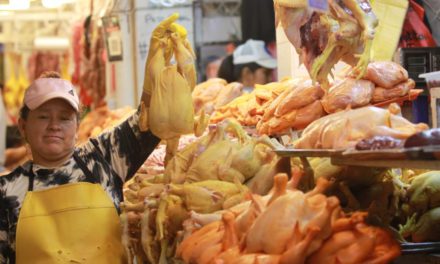 Puente aéreo no baja precios ni garantiza alimentos