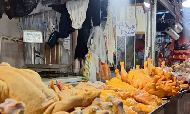 Precio del pollo sube por escasez de diésel y bloqueos