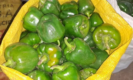 Remate de verduras en Cochabamba por bloqueos