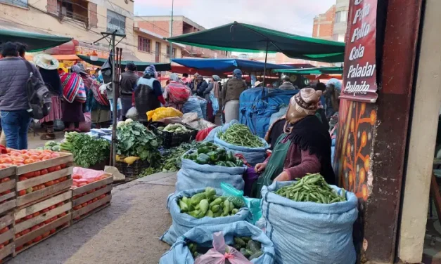 Tomate, pollo y verduras, este es su precio en mercados del eje central del país en puertas del feriado