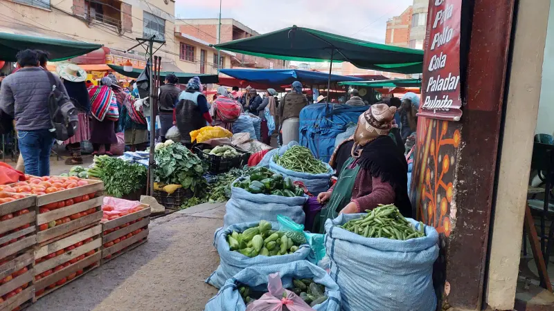 Tomate, pollo y verduras, este es su precio en mercados del eje central del país en puertas del feriado