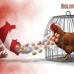 Huevo boliviano, el más barato de la región, rompe fronteras por vías clandestinas