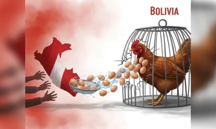 Huevo boliviano, el más barato de la región, rompe fronteras por vías clandestinas