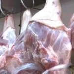 Porcicultores denuncian crisis por falta de diésel e insumos