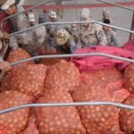 Tarija: La fuga de alimentos halló nuevas rutas clandestinas
