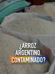 El escándalo de importación de arroz contaminado con un fraude millonario tiene hedor a corrupción