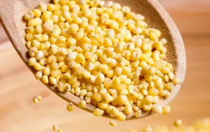 Falta de diésel afecta la distribución del alimento para el ganado, señalan productores 