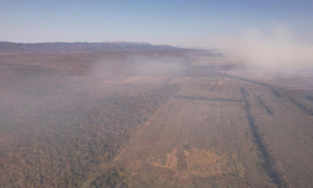Detectan 158 focos críticos con riesgo de incendio forestal