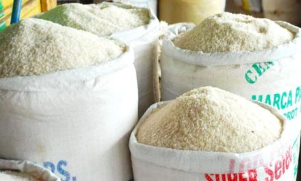 Escándalo por arroz contaminado: Insumos Bolivia denuncia fraude millonario en compra a empresa argentina
