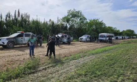 Anapo denuncia que hay más de 60 predios avasallados en Santa Cruz