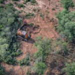 Estudio revela un aumento del 20% de la neumonía por cada 1% de incremento en tasa de deforestación