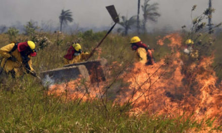 Santa Cruz supera los 3.300 focos de calor diarios y la Defensoría exige acciones urgentes para frenar los incendios forestales