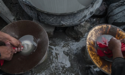 Narcos del Cartel de Jalisco trafican mercurio a Bolivia para minería ilegal en la Amazonía