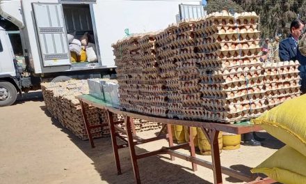 Contrabando: 23 nuevas rutas por donde salen 12 productos vitales
