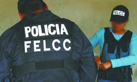 Desarticulan en Tipuani la segunda mayor red de pornografía infantil del país