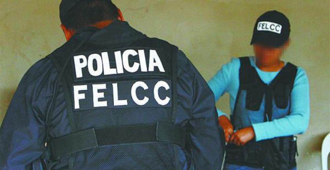Desarticulan en Tipuani la segunda mayor red de pornografía infantil del país