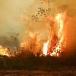 Alerta amarilla en Santa Cruz: Reportan siete incendios forestales activos y 609 focos de calor