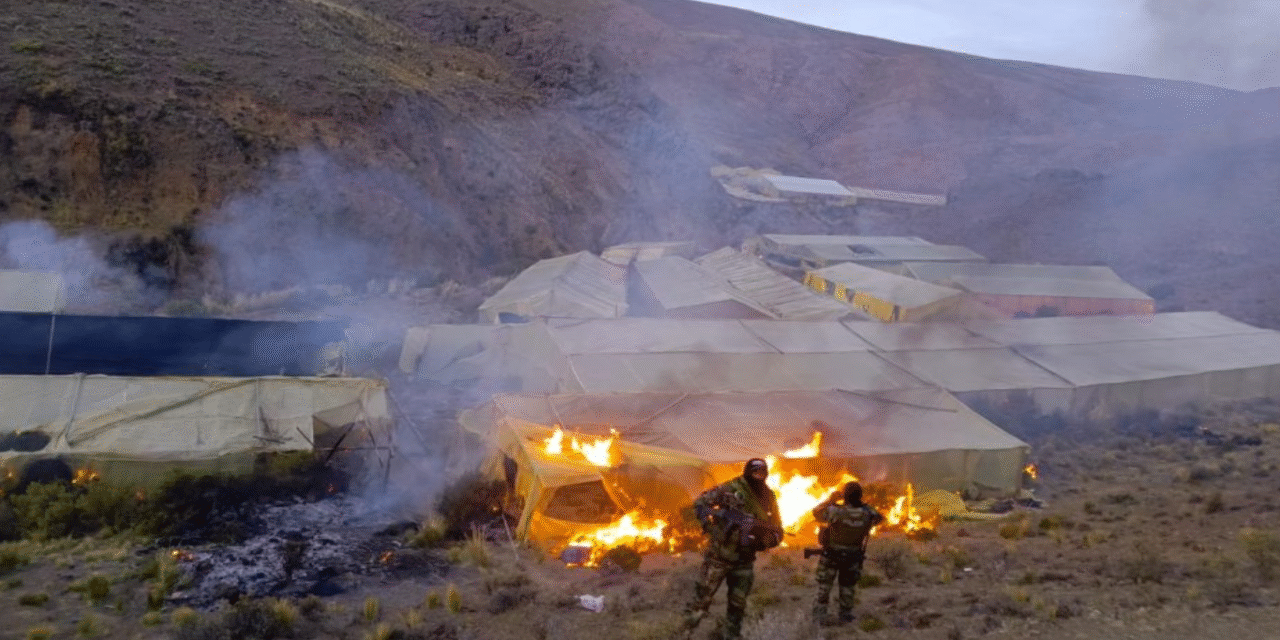 Ataque armado en Llallagua: presunto francotirador tenía carpas de marihuana y ganaba Bs 200.000 al mes