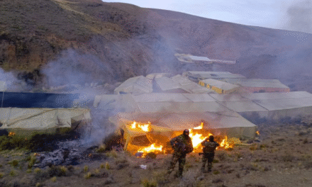 Ataque armado en Llallagua: presunto francotirador tenía carpas de marihuana y ganaba Bs 200.000 al mes