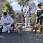 Aumentan casos por mordedura de perro; Ministerio de Salud recomienda tres acciones inmediatas