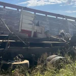 Tragedia en la Bioceánica: Cinco integrantes de una familia fallecen; conoce la lista de víctimas