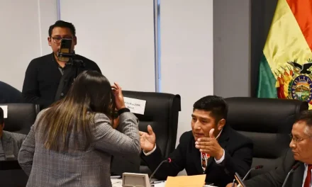 Diputados evitan sesión en Potosí sobre contrato de litio