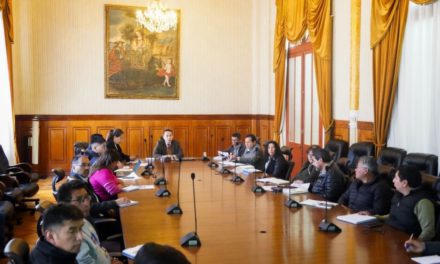 TSE y Cancillería ultiman detalles del voto de los bolivianos en el exterior