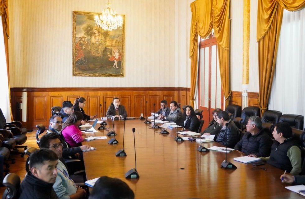 TSE y Cancillería ultiman detalles del voto de los bolivianos en el exterior