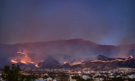 Tarija: voraz incendio arrasa más de 1.500 hectáreas en la serranía de Sama
