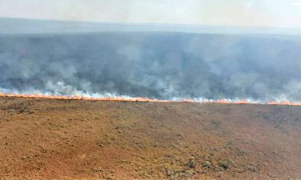 Reportan incendio forestal “muy preocupante” en el parque Noel Kempff