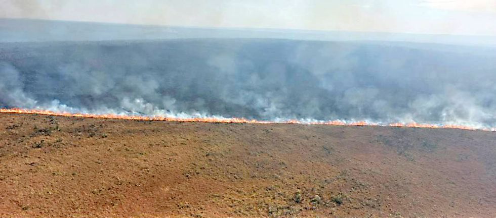 Reportan incendio forestal “muy preocupante” en el parque Noel Kempff